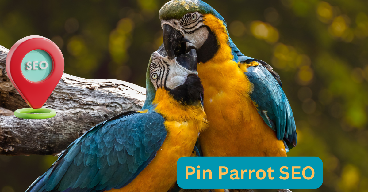Pin Parrot SEO